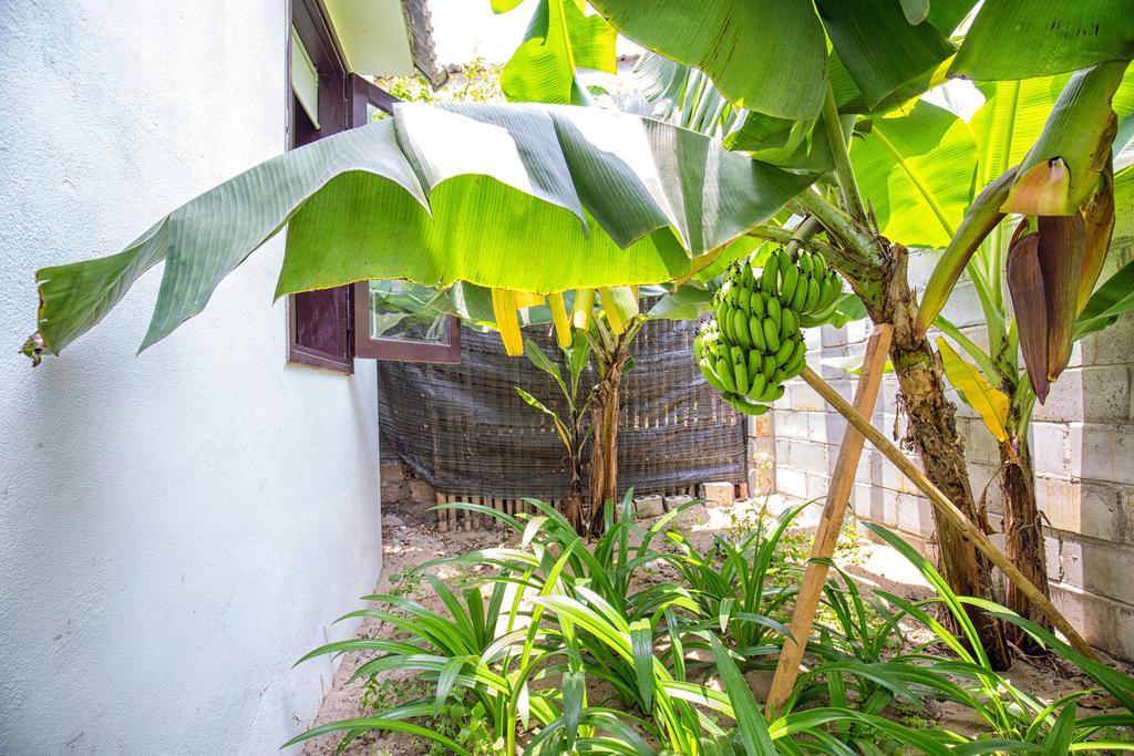 Red Flower Cottages Homestay Hoi An Dış mekan fotoğraf