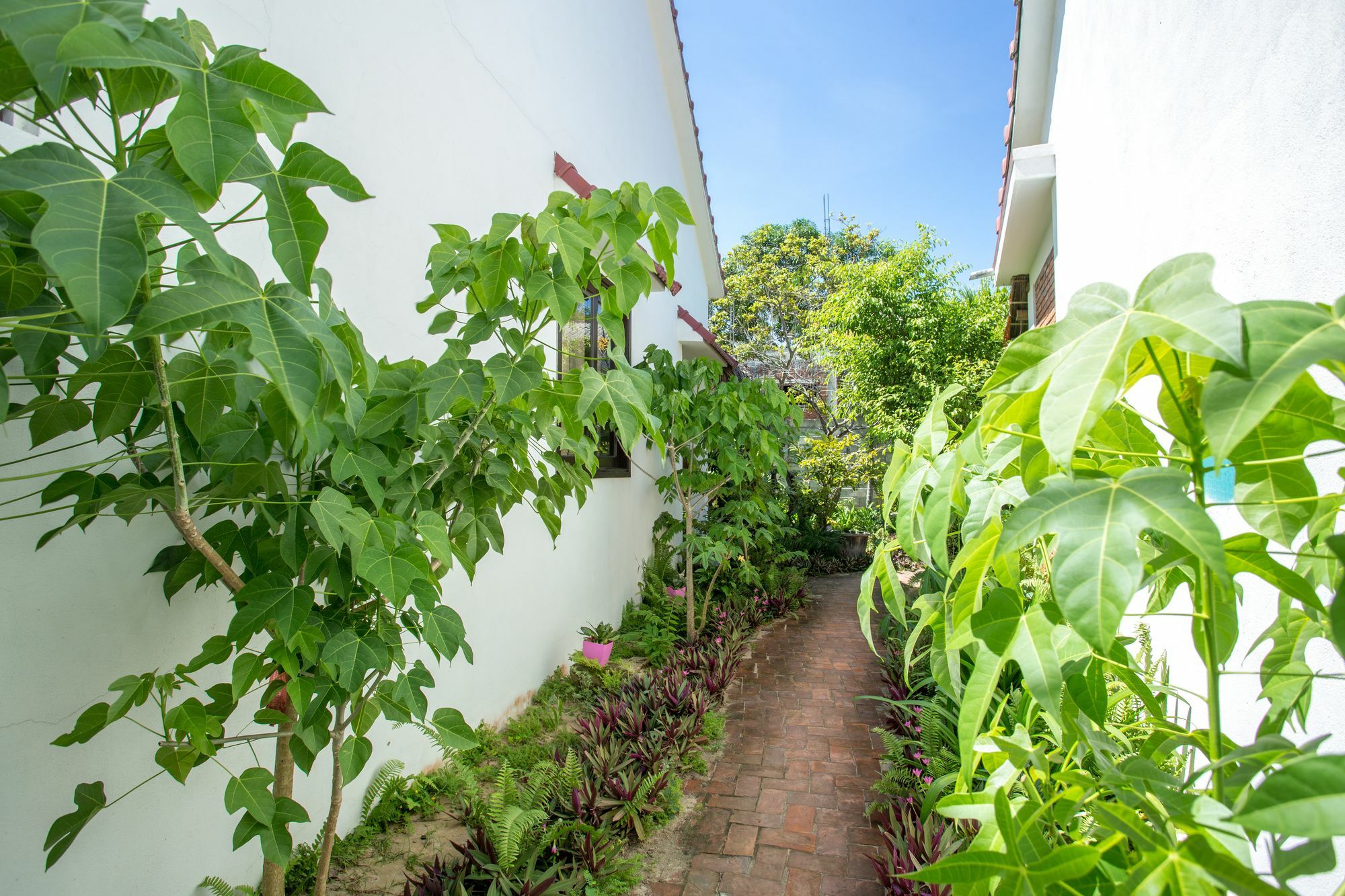 Red Flower Cottages Homestay Hoi An Dış mekan fotoğraf